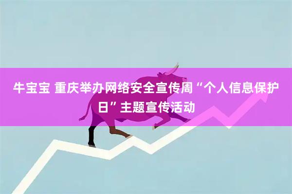 牛宝宝 重庆举办网络安全宣传周“个人信息保护日”主题宣传活动