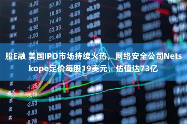 股E融 美国IPO市场持续火热，网络安全公司Netskope定价每股19美元，估值达73亿