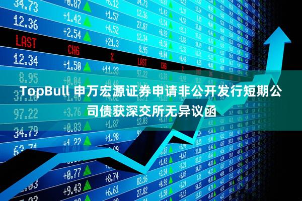 TopBull 申万宏源证券申请非公开发行短期公司债获深交所无异议函