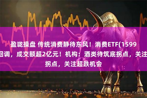 盈珑操盘 传统消费静待东风！消费ETF(159928)再度回调，成交额超2亿元！机构：酒类待筑底拐点，关注超跌机会