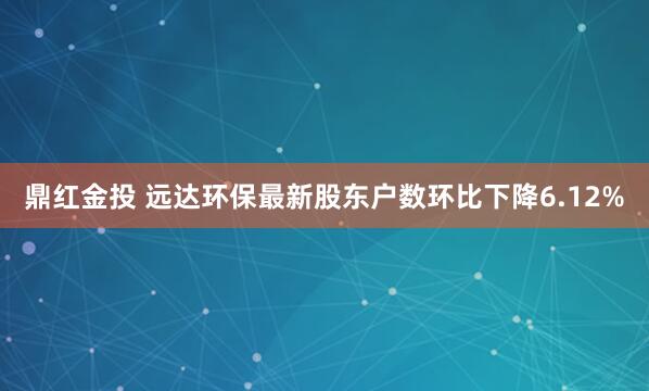 鼎红金投 远达环保最新股东户数环比下降6.12%
