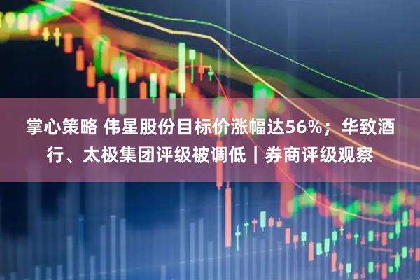 掌心策略 伟星股份目标价涨幅达56%；华致酒行、太极集团评级被调低｜券商评级观察