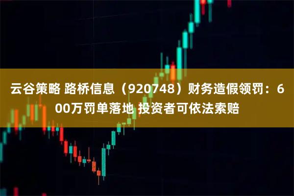 云谷策略 路桥信息（920748）财务造假领罚：600万罚单落地 投资者可依法索赔