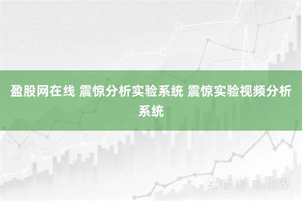 盈股网在线 震惊分析实验系统 震惊实验视频分析系统